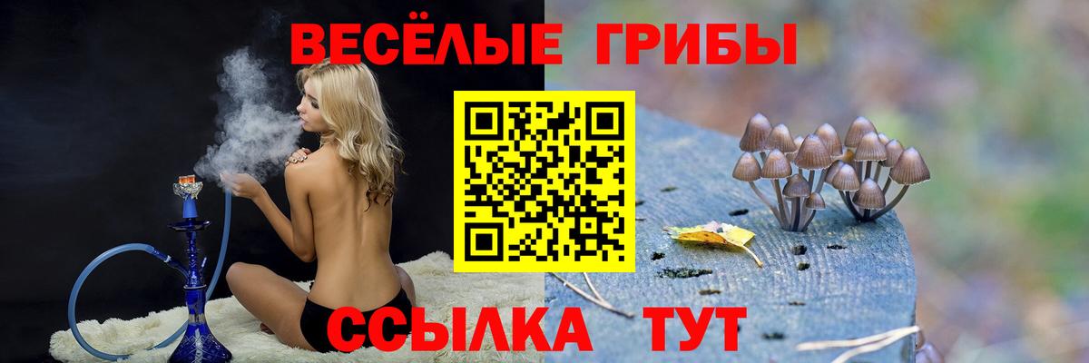 Набережные Челны  Галлюциногенные грибы GOLDEN TEACHER  Вход с VPN  Псилоцибиновые грибы Cubensis 
